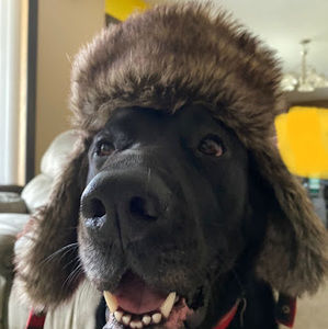 Meet your Posher, Cameron